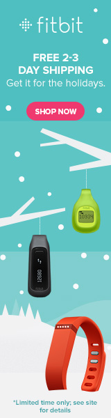 120213 Fitbit Family Holiday 160x600 B