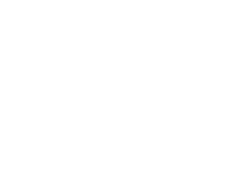 Fitbit Local Denver logo